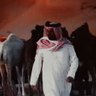 عمران شرورة's profile picture