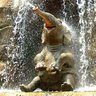 Profilbild von mellow elephant