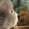 quambbbb's profile picture