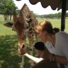 Mary Pat Flynn's profile picture