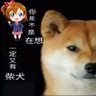 Wesker Lin's profile picture