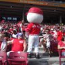 jason burneka's profile picture