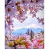 Фото профиля aliveli