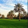 Фото профиля عيد الزهيري