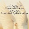 Profilbild von ام لانا