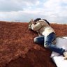 الحريري profil fotoğrafı