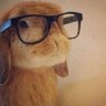 Ian 🐙 profil fotoğrafı