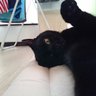 トム profil fotoğrafı