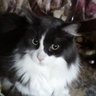 Profilbild von Linda Ness