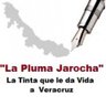 Tinta Jarocha profil fotoğrafı