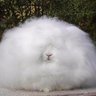(·.· з)з profil fotoğrafı