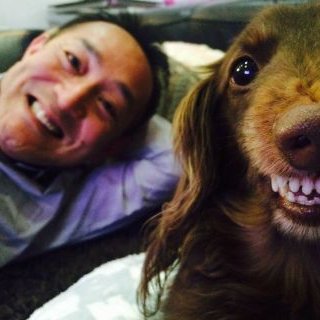 saito_yoshitaka's profile picture