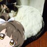 ジュンキンス 的头像