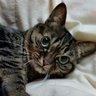Zinc♥'s profile picture