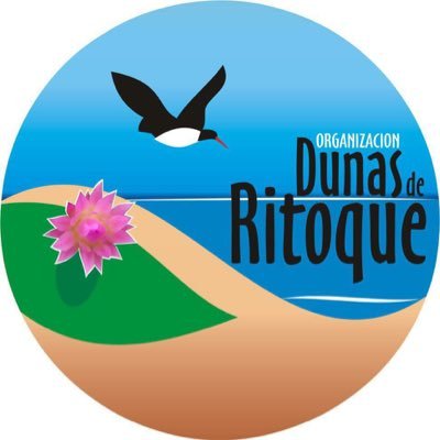 Dunas de Ritoque's profile picture