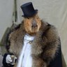 Donetskiy_online profil fotoğrafı
