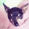 Profilbild von あすく
