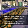 ❕ودع اليأأس❕ 的头像