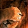 Profilbild von HOSANNA