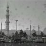 صالح محمد 的头像