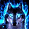 wolf135 的头像