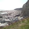Фото профиля Lamorna