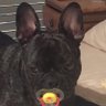 Profilbild von Pablo