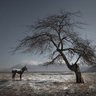 Фото профиля julian sword