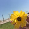 فهد's profile picture