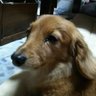 名無し@十六夜鈴音 profil fotoğrafı