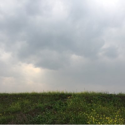 一叶知's profile picture