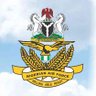 Nigerian Air Force profil fotoğrafı