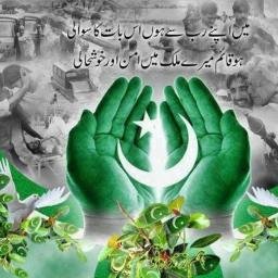 adeelhaider018's profile picture