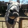 Sandy's profile picture