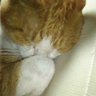 まさやん 的头像
