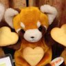 Profilbild von くまねこ ふうた