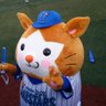 Profilbild von ドカベイ