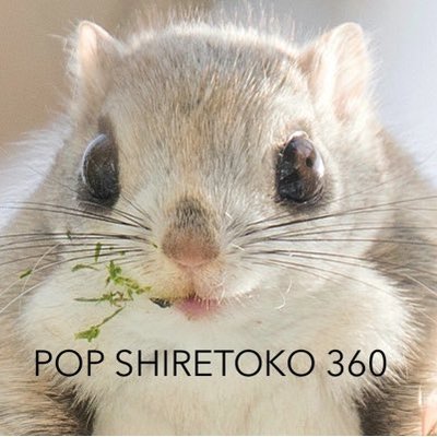 Popshiretoko360's profile picture