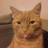 Profilbild von 25912