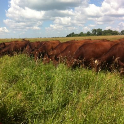Circle_H_Farms's profile picture
