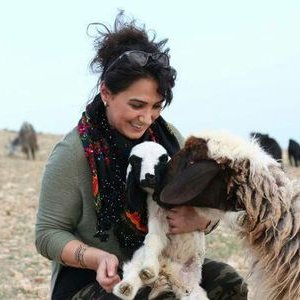 ozlembaglayan's profile picture