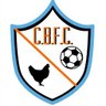 Фото профиля Chicken Bucket FC