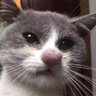 Txus's profile picture