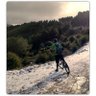 Juan Carlos Solano's profile picture