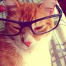 GermanO's profile picture