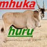 Mpofu's profile picture