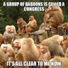 John Emmanuel's profile picture