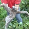 Artis Jein profil fotoğrafı