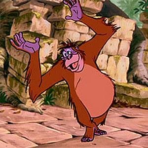 Primo Louis's profile picture