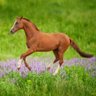 Фото профиля New Zealand's Best